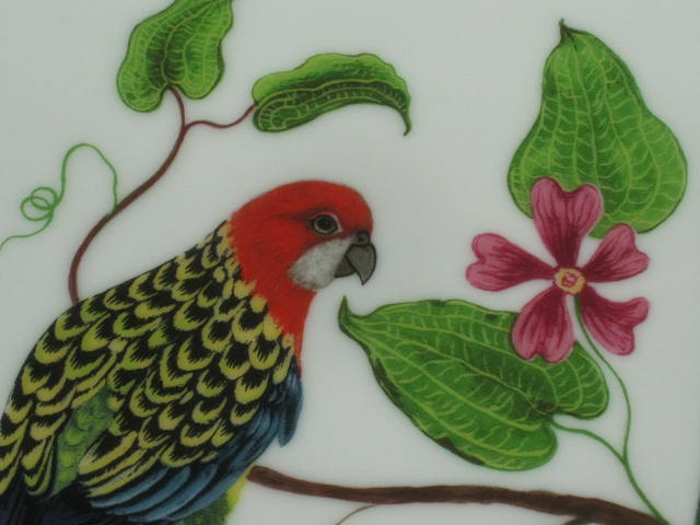1989 Lynn Chase Designs China Parrots Of Paradise 9" Square Buffet Dish Bowl NR! 1