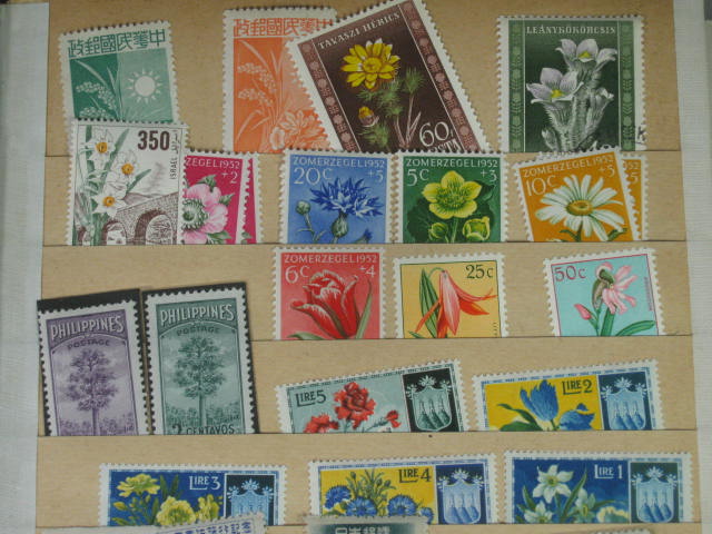 Vtg 1920s-1950s Elbe Stamp Album International Collection Lot Vatican Pope NR! 22