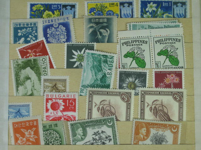 Vtg 1920s-1950s Elbe Stamp Album International Collection Lot Vatican Pope NR! 23