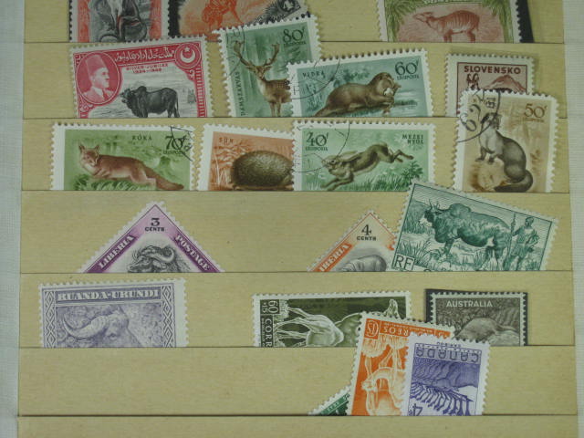 Vtg 1920s-1950s Elbe Stamp Album International Collection Lot Vatican Pope NR! 25