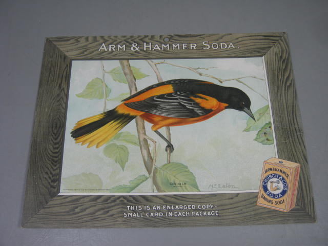 15 Vtg Arm & Hammer Church Co Baking Soda Dealer Advertising Ad Bird Signs Lot 1