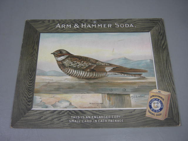 15 Vtg Arm & Hammer Church Co Baking Soda Dealer Advertising Ad Bird Signs Lot 5