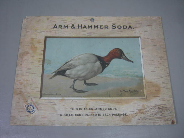 15 Vtg Arm & Hammer Church Co Baking Soda Dealer Advertising Ad Bird Signs Lot 9