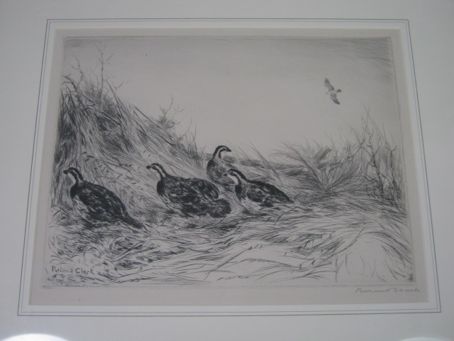 Vtg Roland Clark Signed Sporting Hunting Drypoint Etching Game Birds Quail Hawk 1