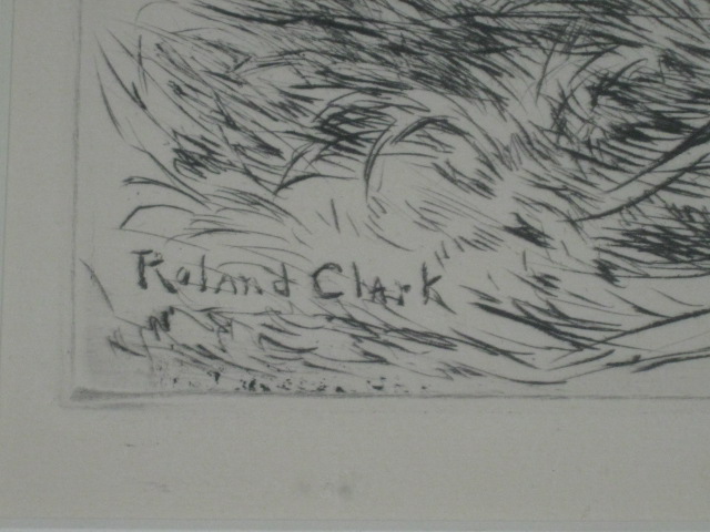 Vtg Roland Clark Signed Sporting Hunting Drypoint Etching Game Birds Quail Hawk 3
