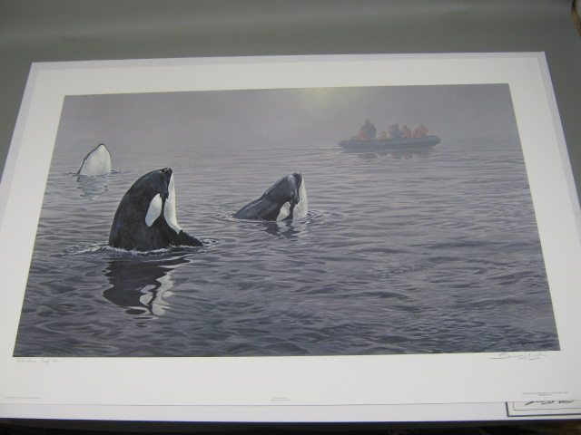 John Seerey-Lester In Their Presence Orca Killer Whale Publisher