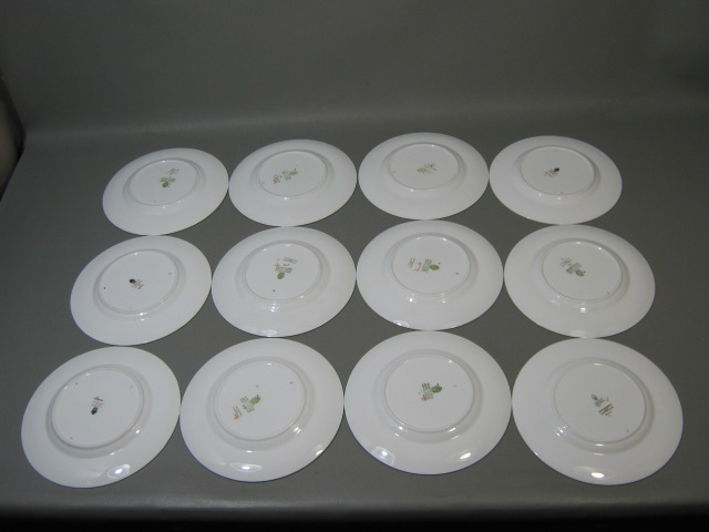 12 Wedgwood Appledore Bone China Pattern #W3257 Salad Luncheon Plates Set Lot 8" 2
