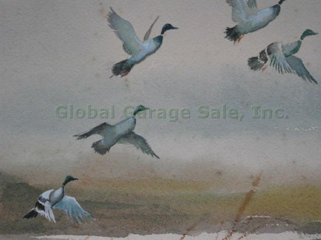 Vtg Signed Edwin J Ward Watercolor Painting Ducks Birds Waterfowl Seascape 6
