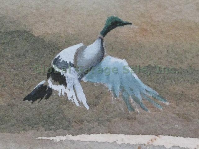 Vtg Signed Edwin J Ward Watercolor Painting Ducks Birds Waterfowl Seascape 7