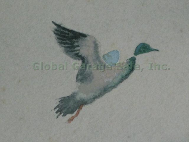 Vtg Signed Edwin J Ward Watercolor Painting Ducks Birds Waterfowl Seascape 8