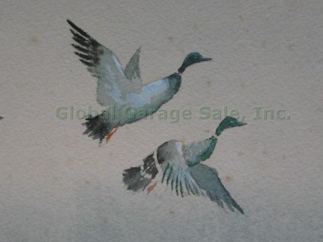 Vtg Signed Edwin J Ward Watercolor Painting Ducks Birds Waterfowl Seascape 9