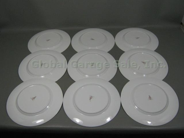 9 New Unused Royal Doulton Rhodes Fine Bone China Dinner Plates Set Lot H 5099 2