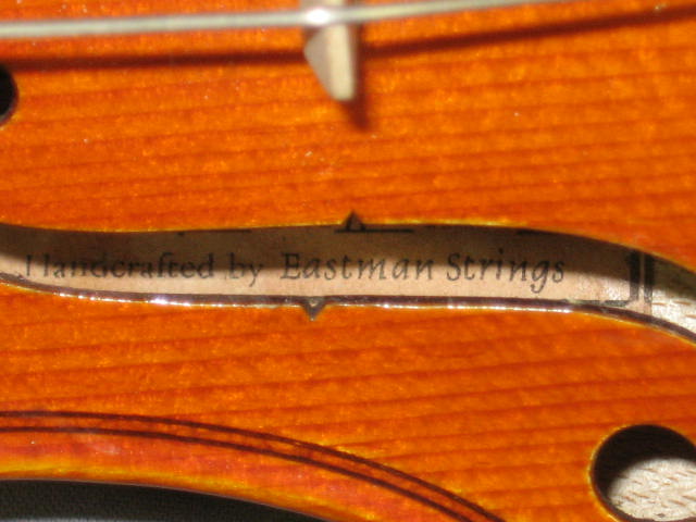 Eastman Strings 11" Student Viola Model 100 W/ Bow Case 9