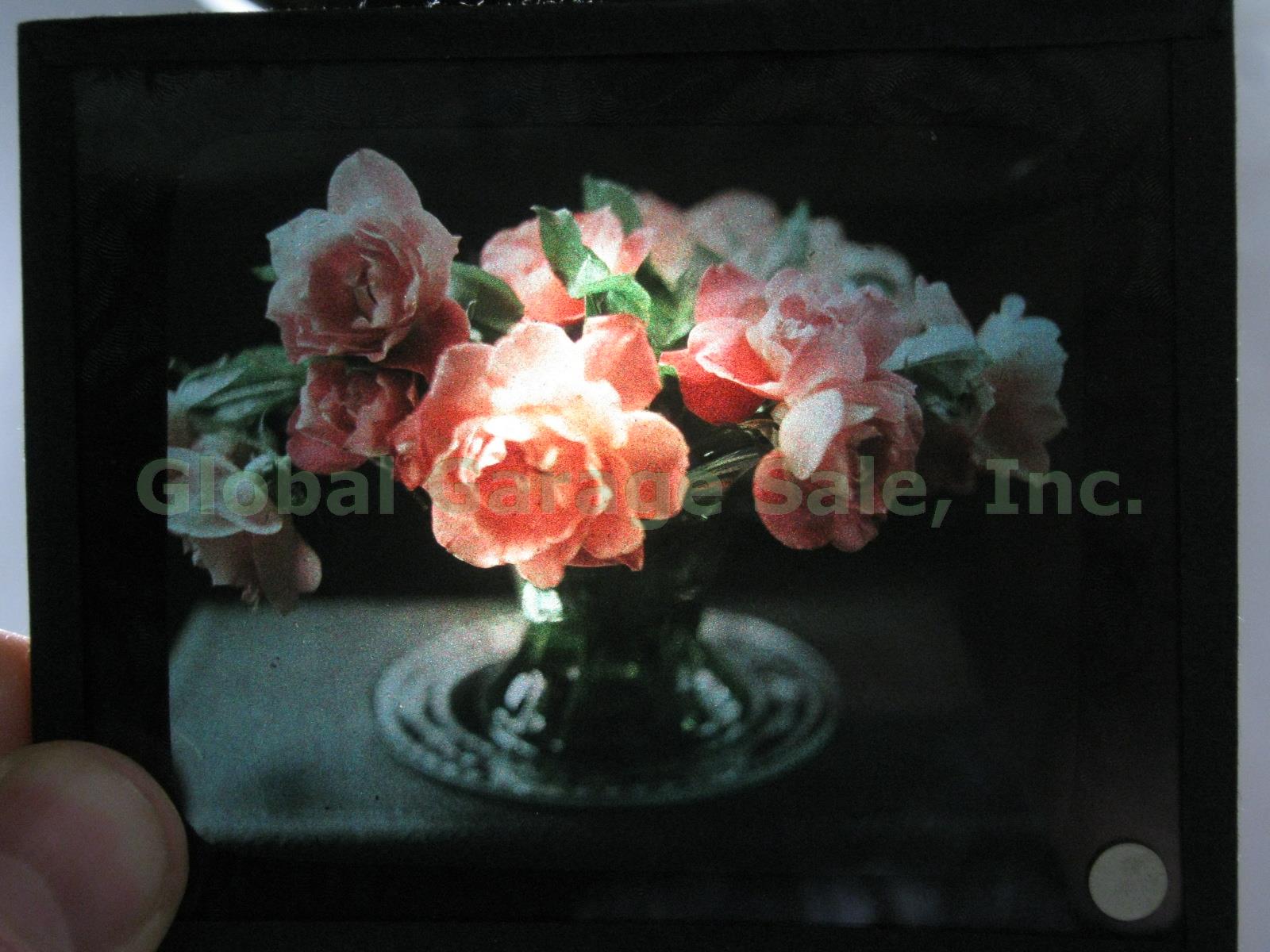 103 Vtg Antique Glass Photo Slide Lot 3.25" x 4" Garden Jamaica Magic Lantern? 1