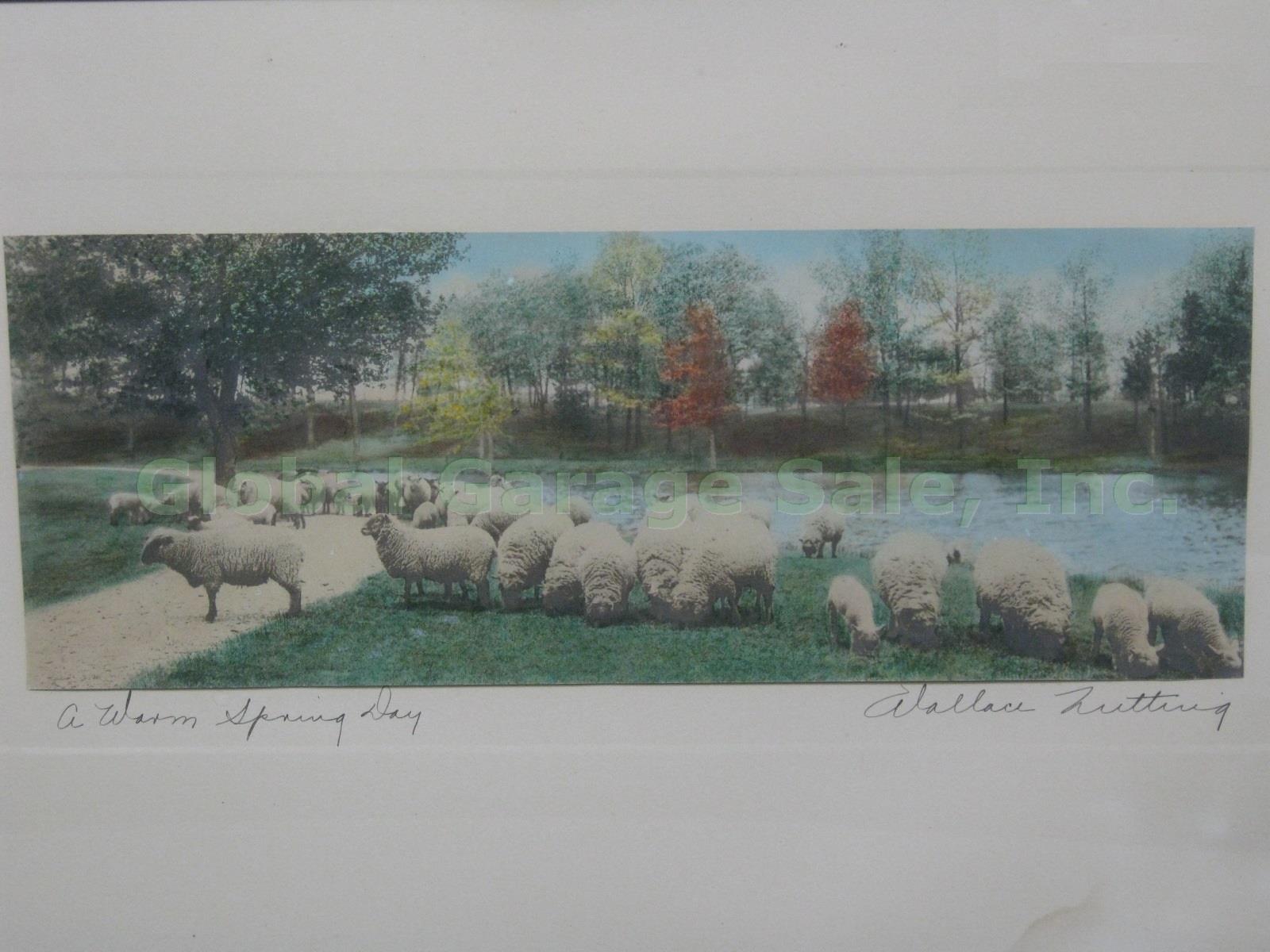 Vtg Signed Wallace Nutting Colored Photo A Warm Spring Day W/ Sheep Lake Scene 1