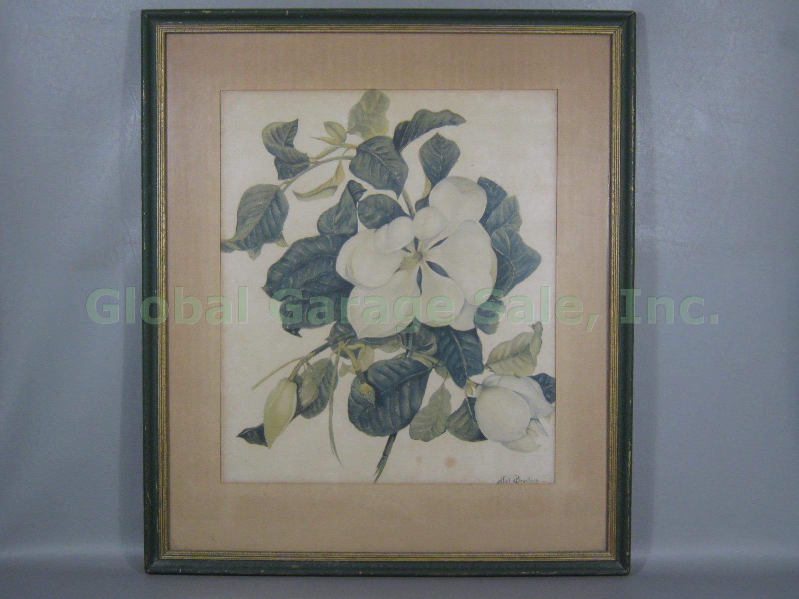 Vtg Original Signed Harold Hal C Bruntsch 1891-1959 Magnolia Watercolor Painting