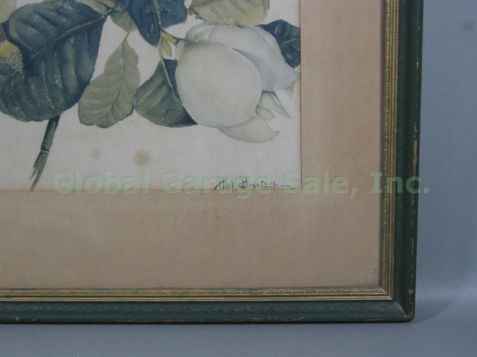 Vtg Original Signed Harold Hal C Bruntsch 1891-1959 Magnolia Watercolor Painting 5