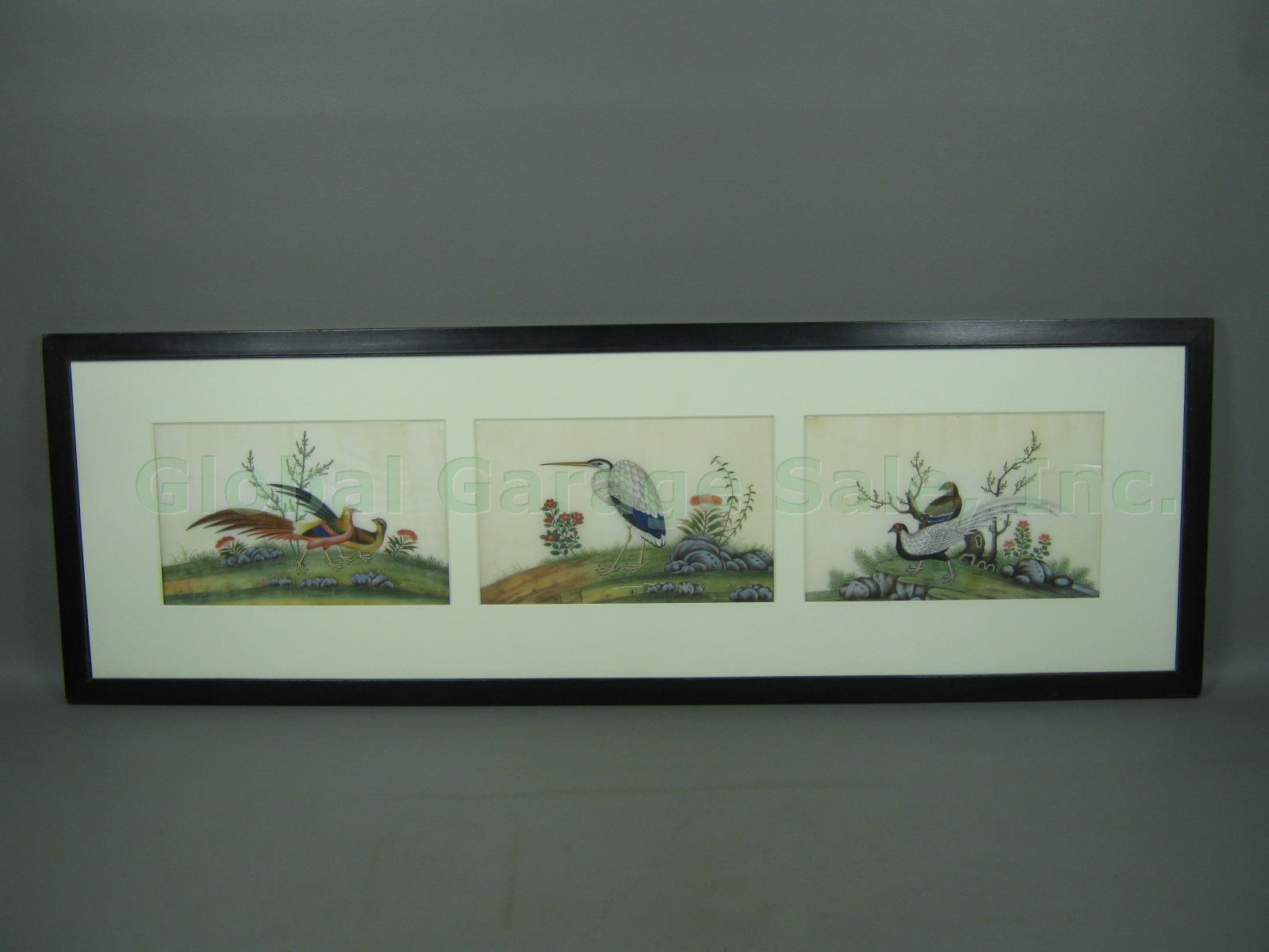 3 Vtg Antique Chinese Watercolor Paintings On Pith Rice Paper Birds 36.5" Framed