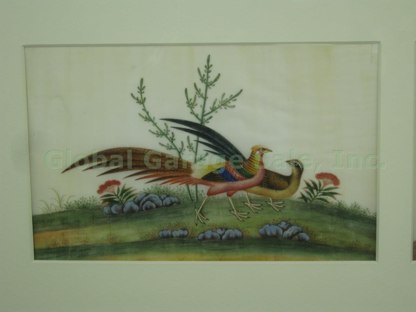 3 Vtg Antique Chinese Watercolor Paintings On Pith Rice Paper Birds 36.5" Framed 1