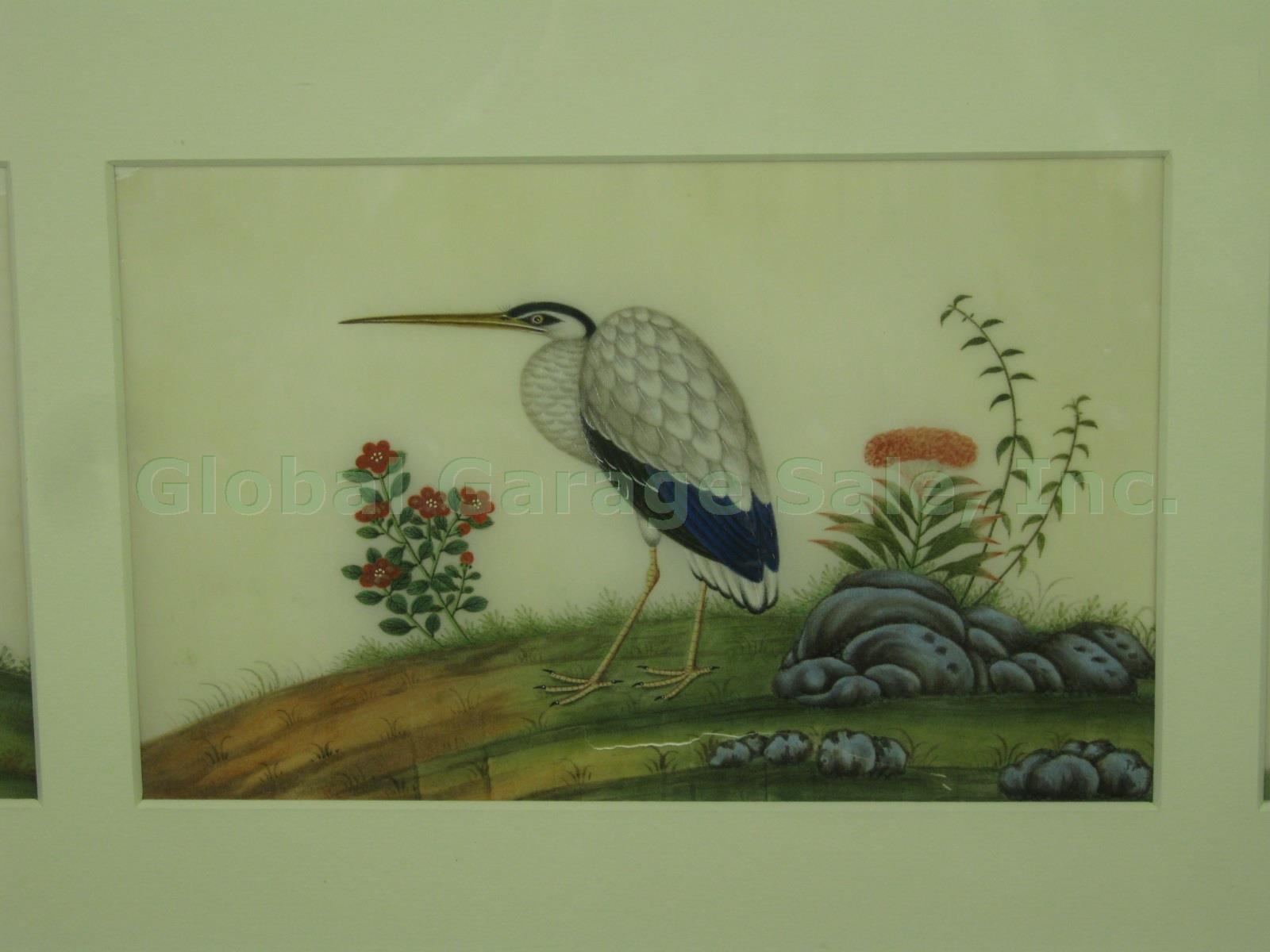 3 Vtg Antique Chinese Watercolor Paintings On Pith Rice Paper Birds 36.5" Framed 2
