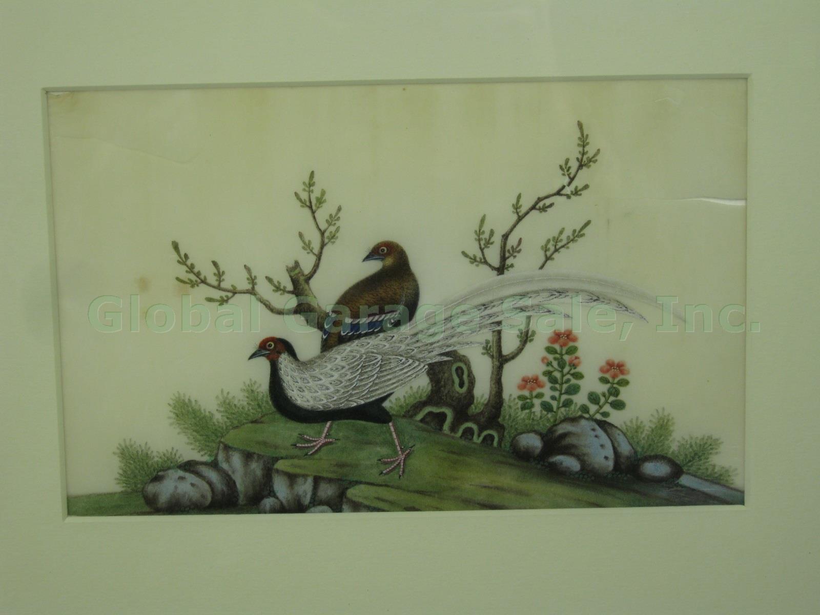 3 Vtg Antique Chinese Watercolor Paintings On Pith Rice Paper Birds 36.5" Framed 3