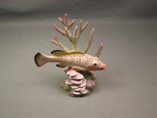 Royal Worcester Four Eyed Fish Red Hind + Yellow Grunt 2