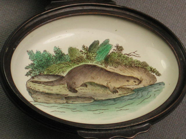 Halcyon Days Mijbil Pet Otter Bonbonniere Enamel Box NR 4