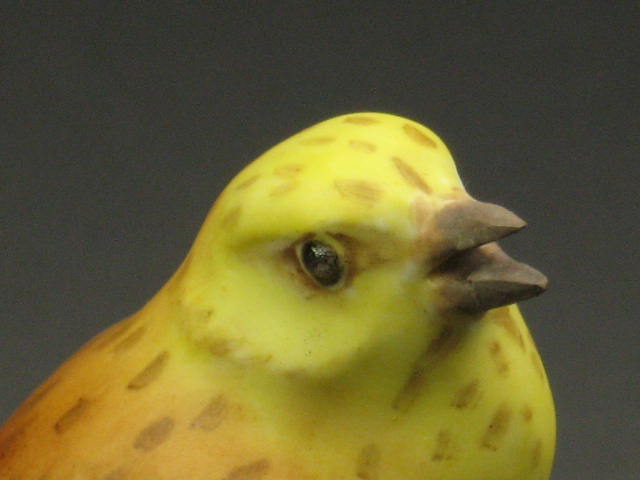 Royal Worcester Bird Figurine Yellow Hammers #3377 NR 2