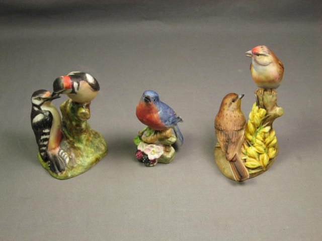 Royal Worcester Set Blue Bird Linnets +Pied Woodpeckers
