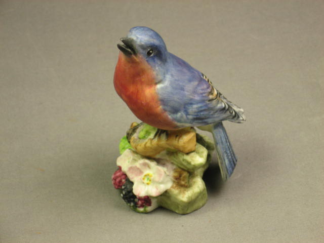 Royal Worcester Set Blue Bird Linnets +Pied Woodpeckers 7