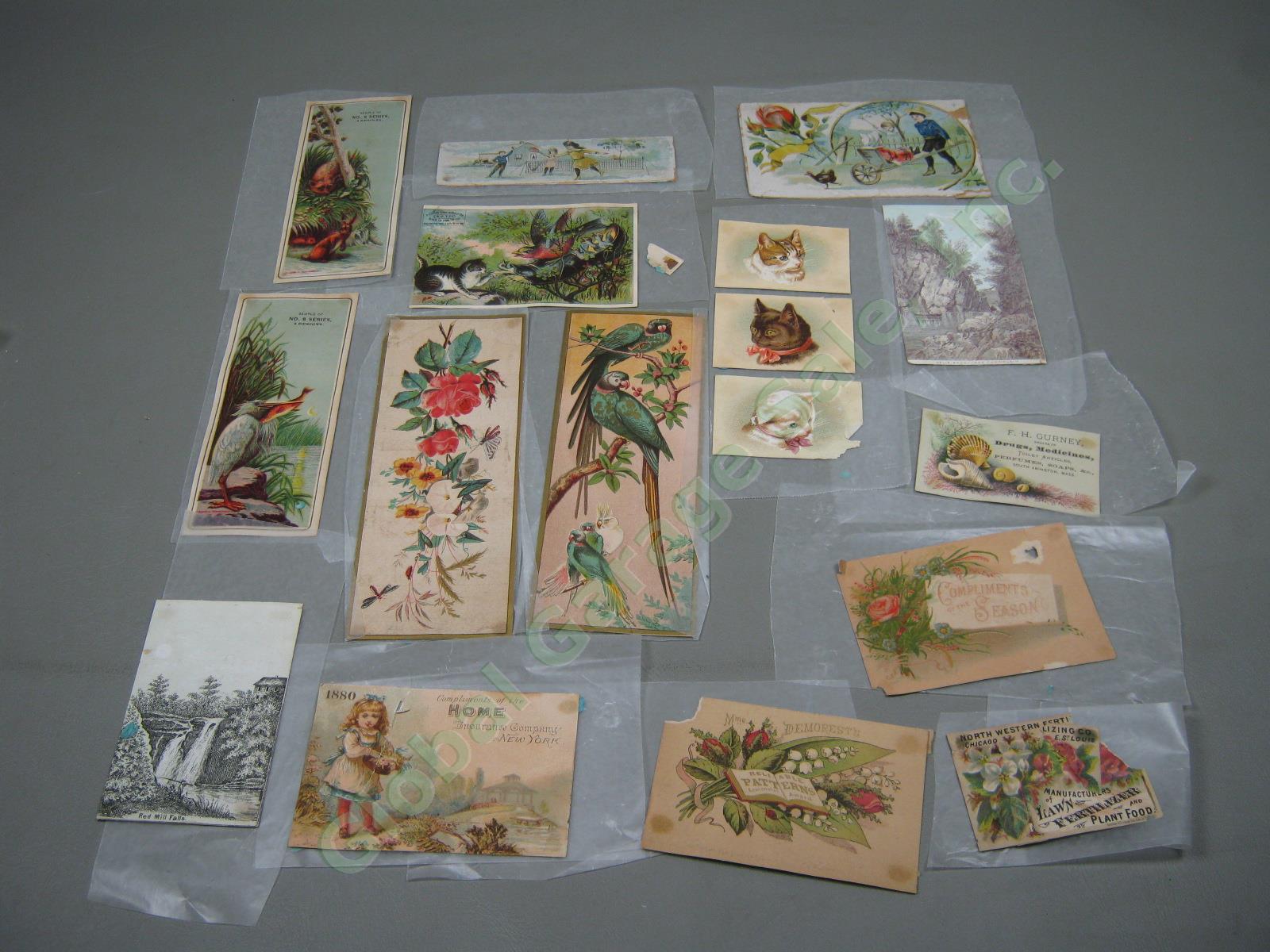 Huge Lot Assorted Vintage Antique Victorian Advertising Trade Cards Collection + 13