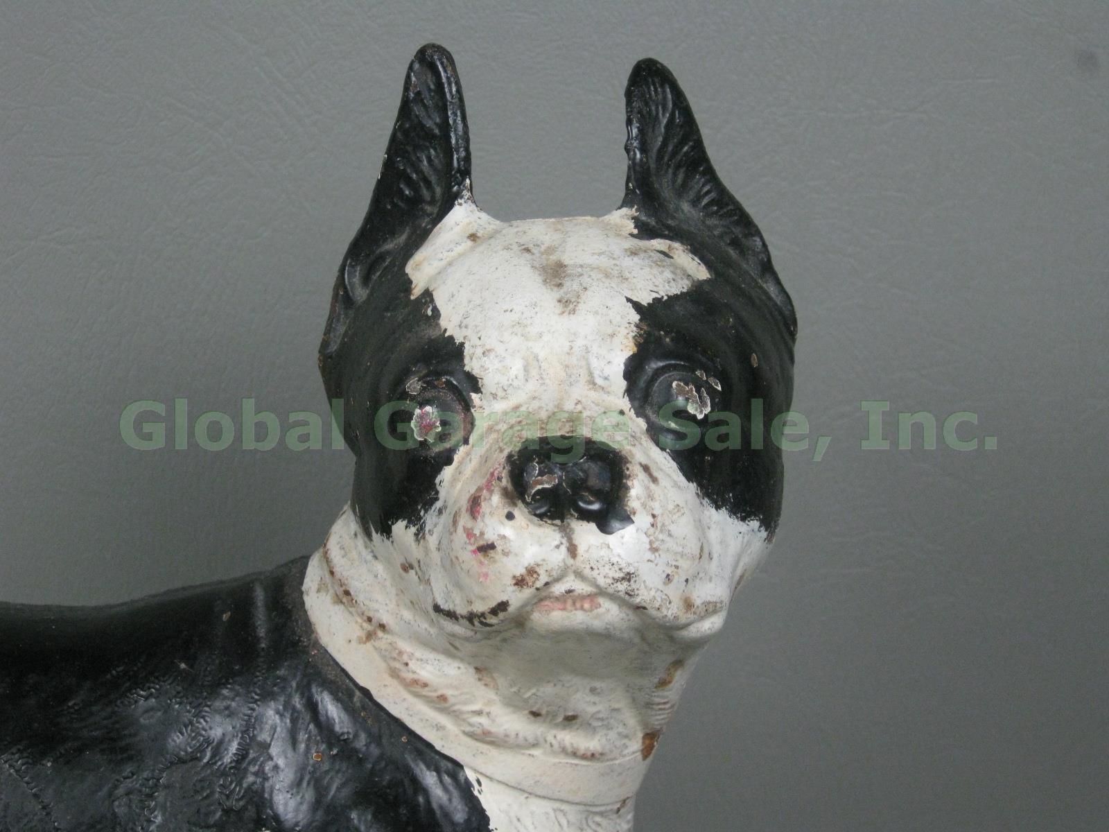 Vtg Antique Cast Iron Boston Terrier Dog Doorstop 10.5" Tall 8 lbs Hubley? NR! 1