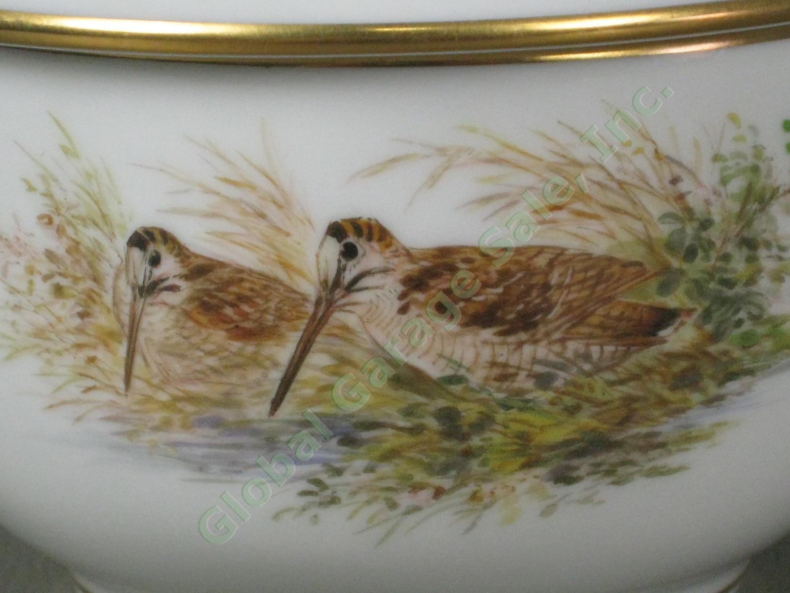 RARE Antique Meissen German Porcelain Wildlife Coffee Service Tea Set Pot Cups + 15