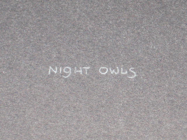 Signed Mel Hunter Lithograph Night Owls Bird Print NR 7