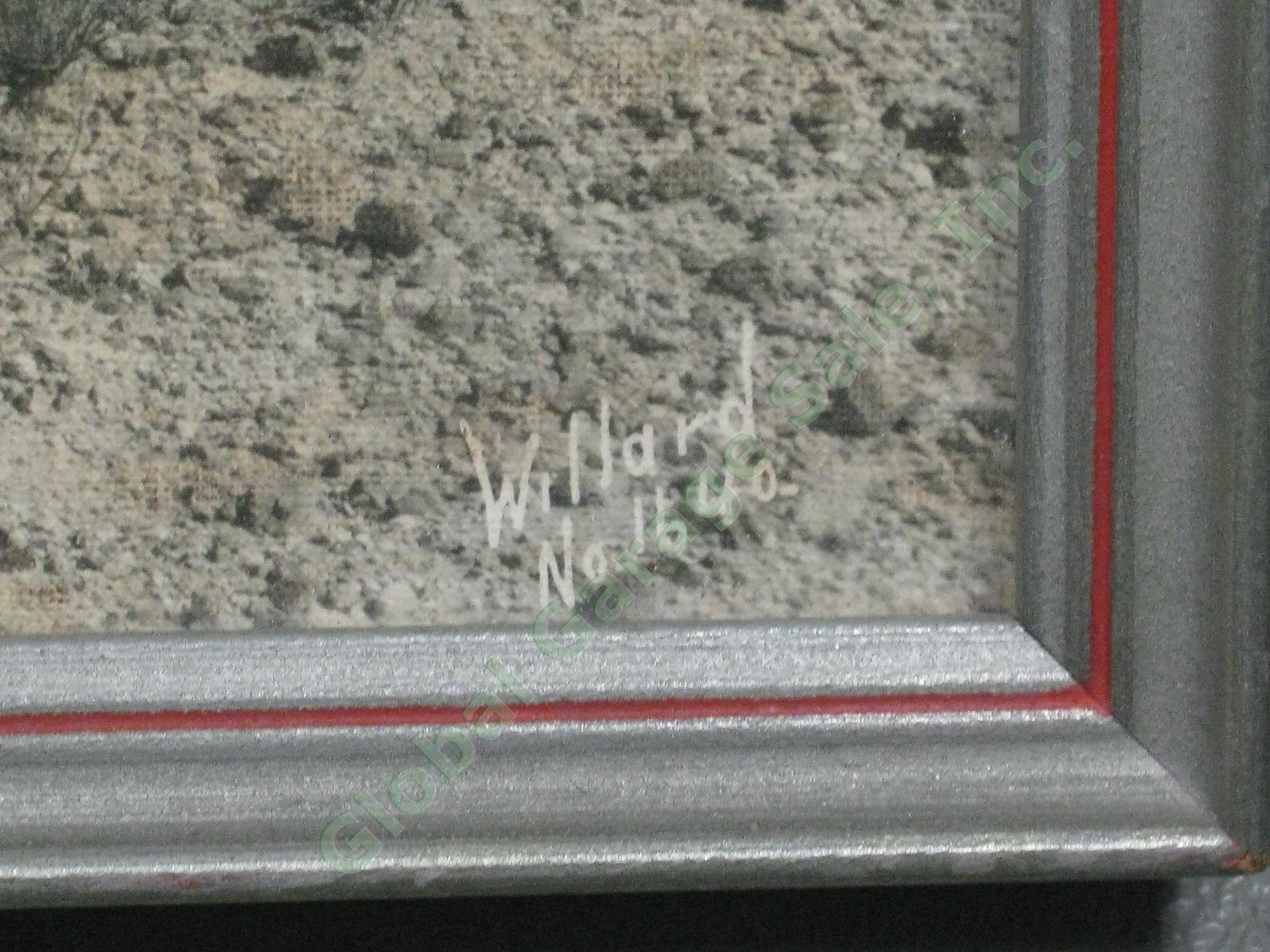 Vtg Stephen H Willard Hand Colored Painted Western Desert Cactus Photo #1640 NR! 1