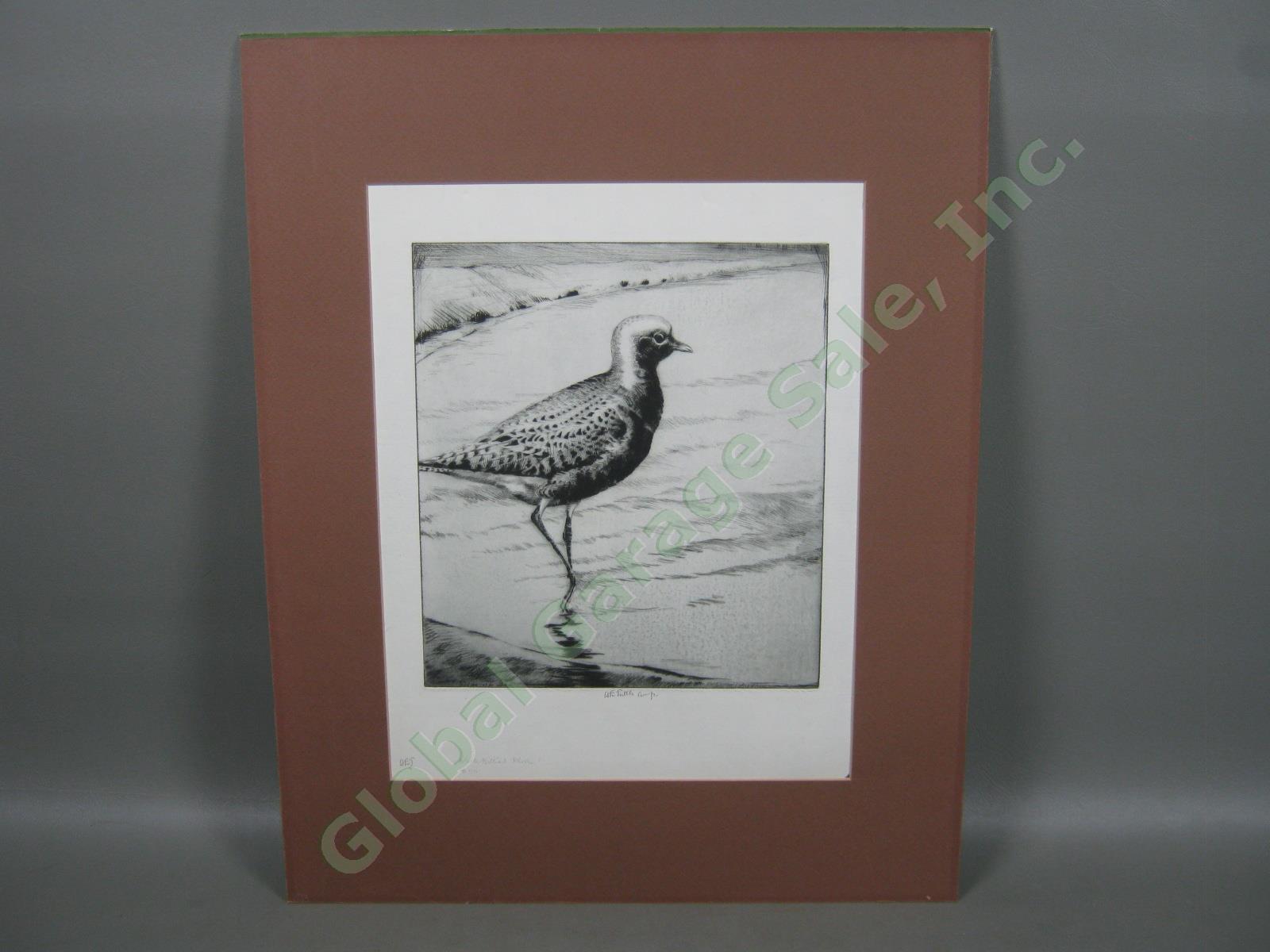 Original Signed Drypoint Etching H.E Henry Emerson Tuttle Black-Bellied Plover