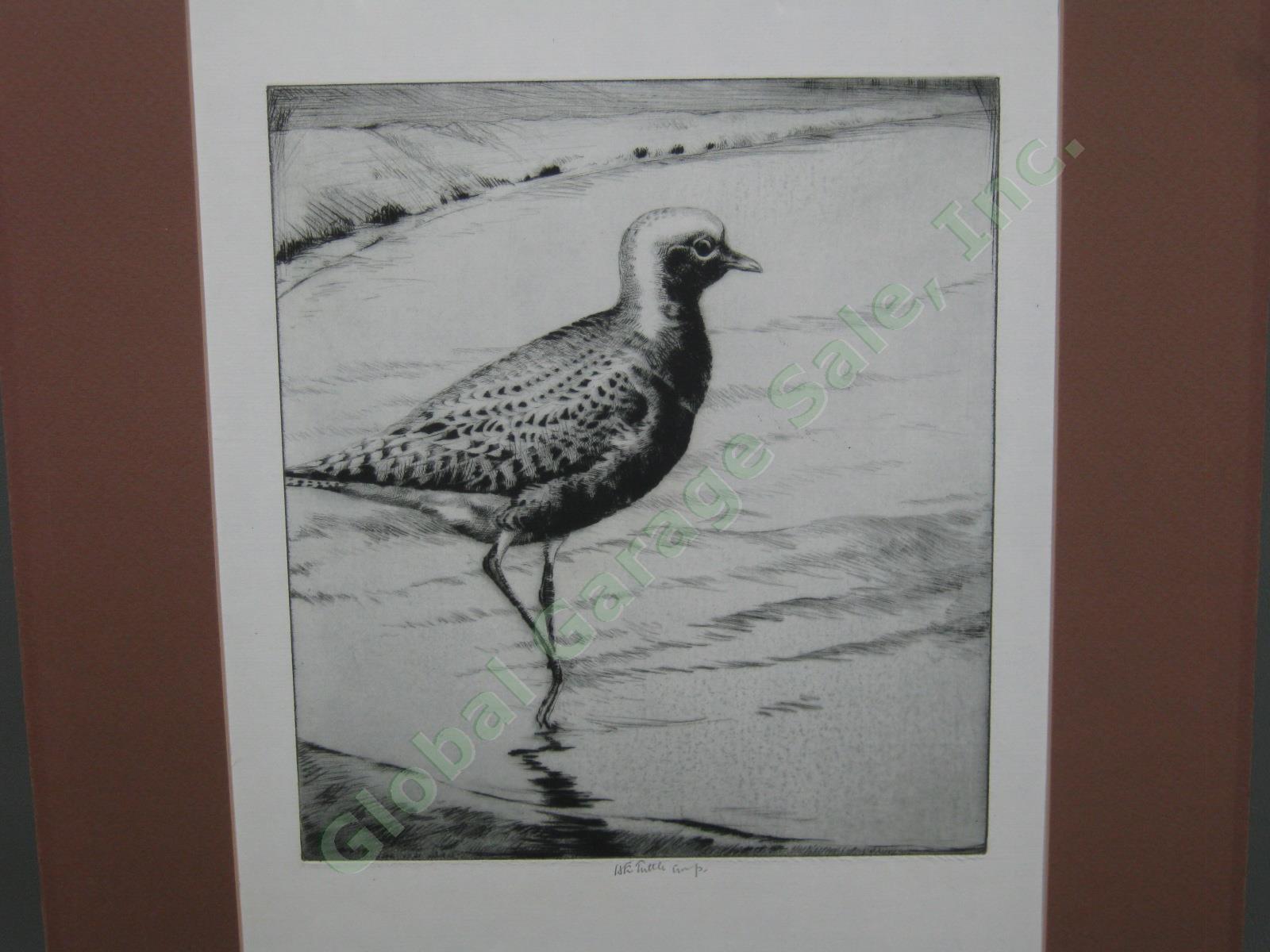 Original Signed Drypoint Etching H.E Henry Emerson Tuttle Black-Bellied Plover 1
