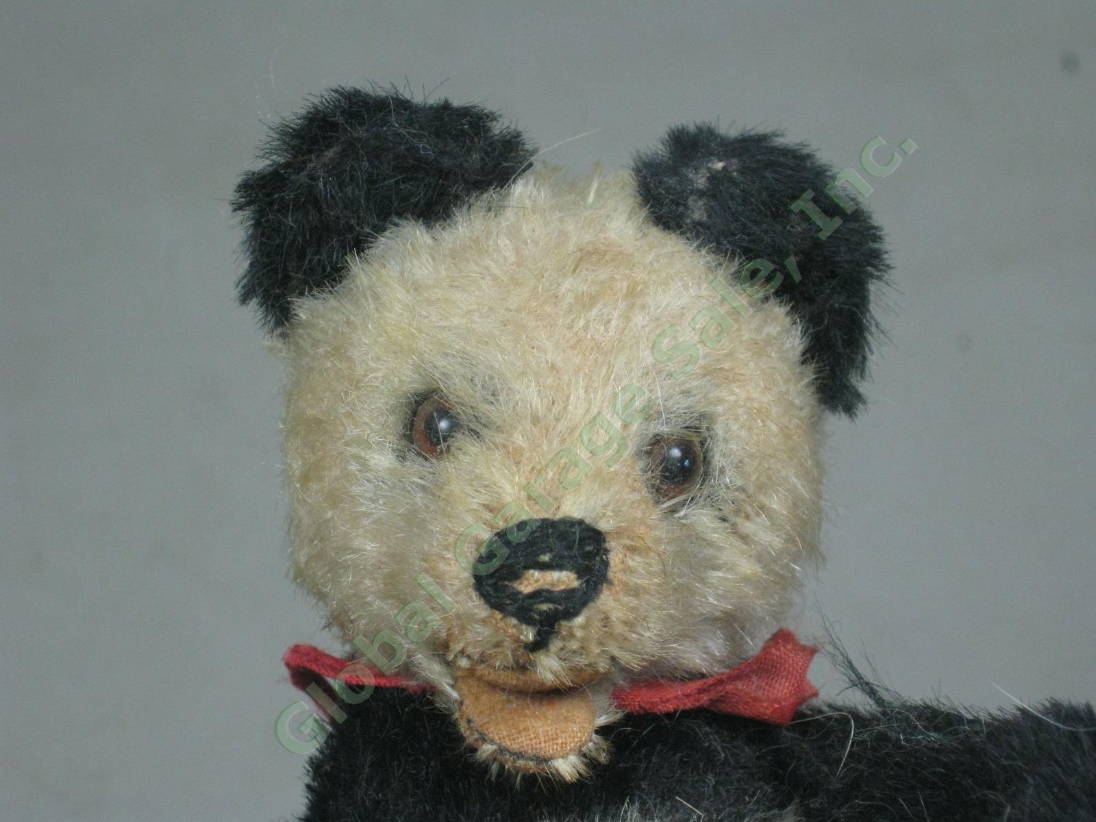 5" Vtg Antique Steiff Fully Jointed Open Mouth Mohair Panda Bear Stuffed Animal 1