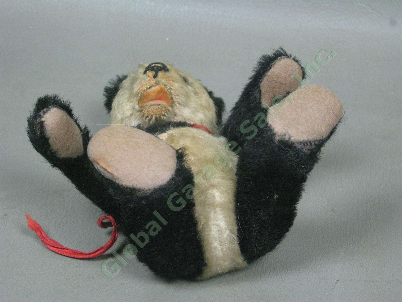 5" Vtg Antique Steiff Fully Jointed Open Mouth Mohair Panda Bear Stuffed Animal 5