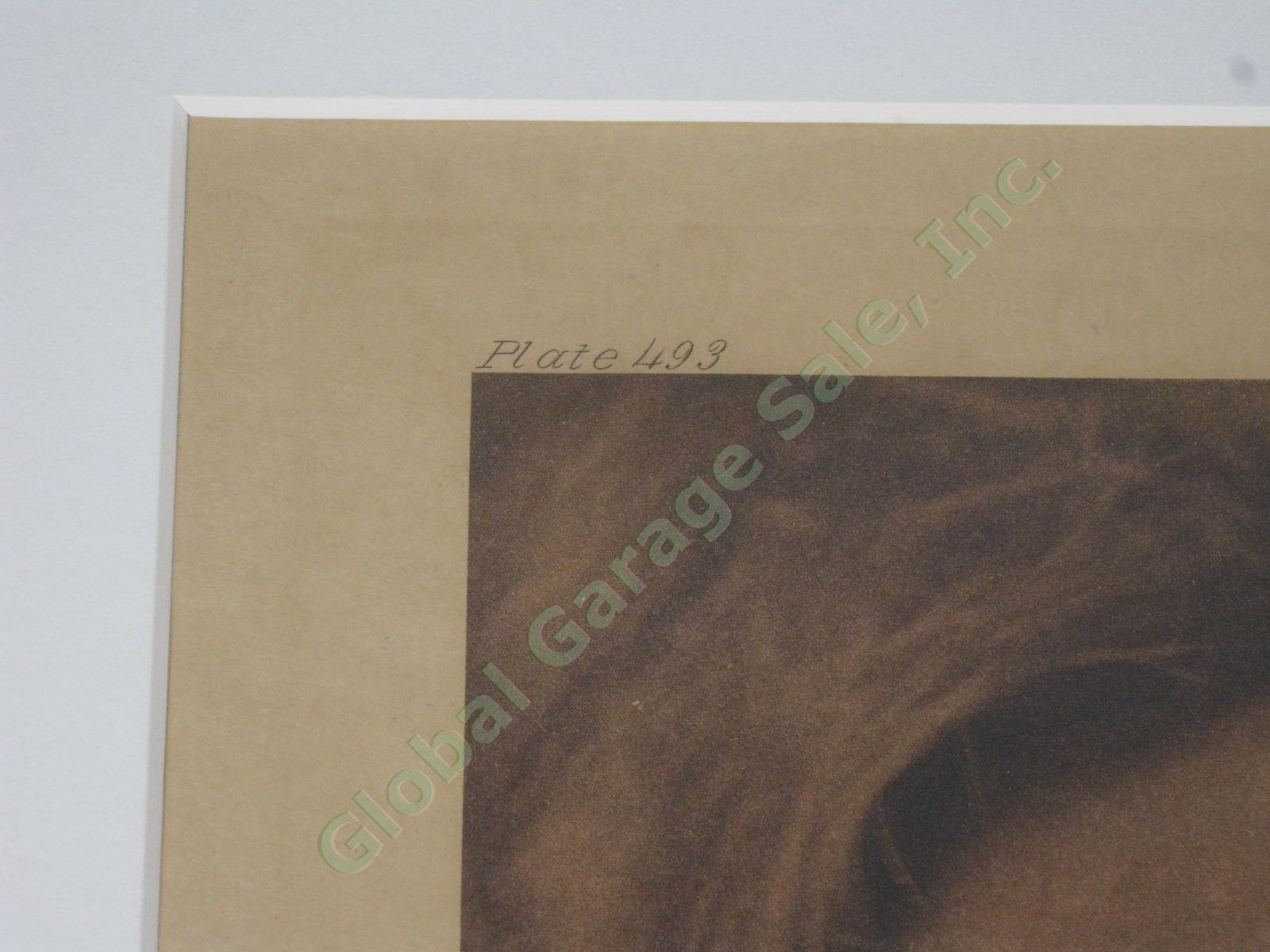 Edward Curtis Photogravure Photo 1924 Miwok Head Man Plate 493 11.5x15.5 Gelder 3