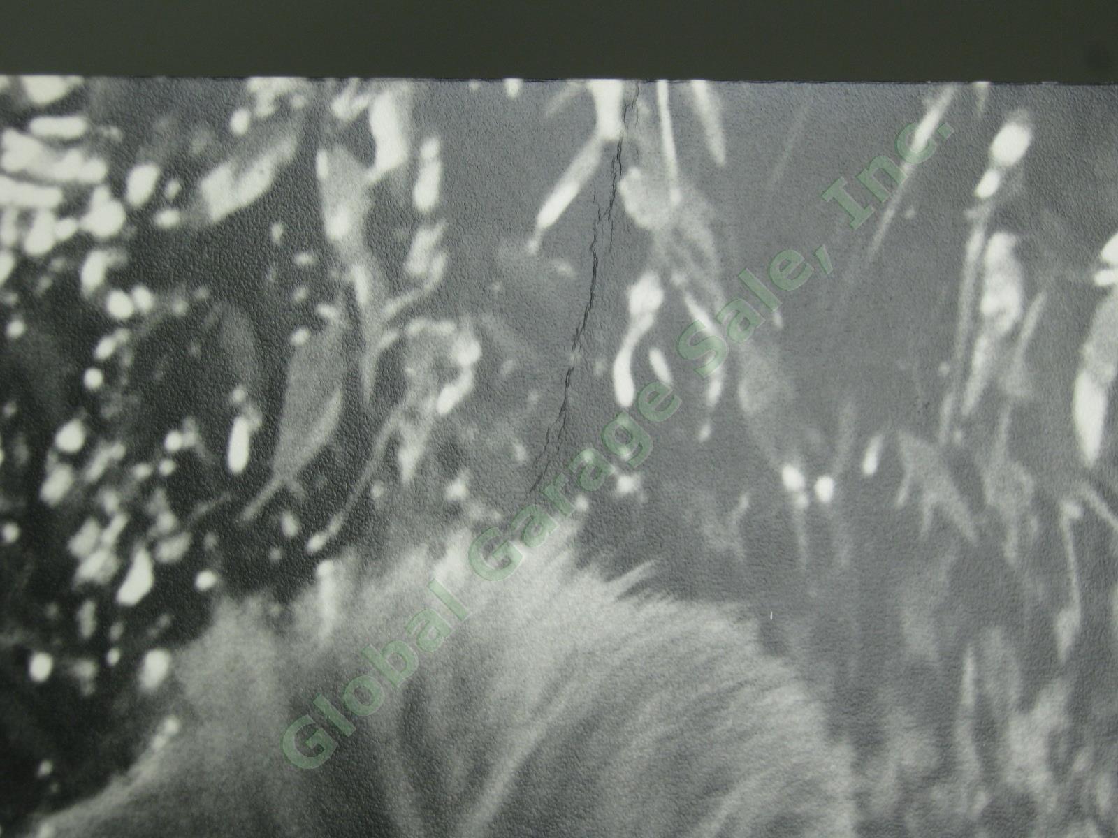 Vtg Farm Security Administration FSA Photo Dorothea Lange 1936 Blythe CA 15"x17" 6