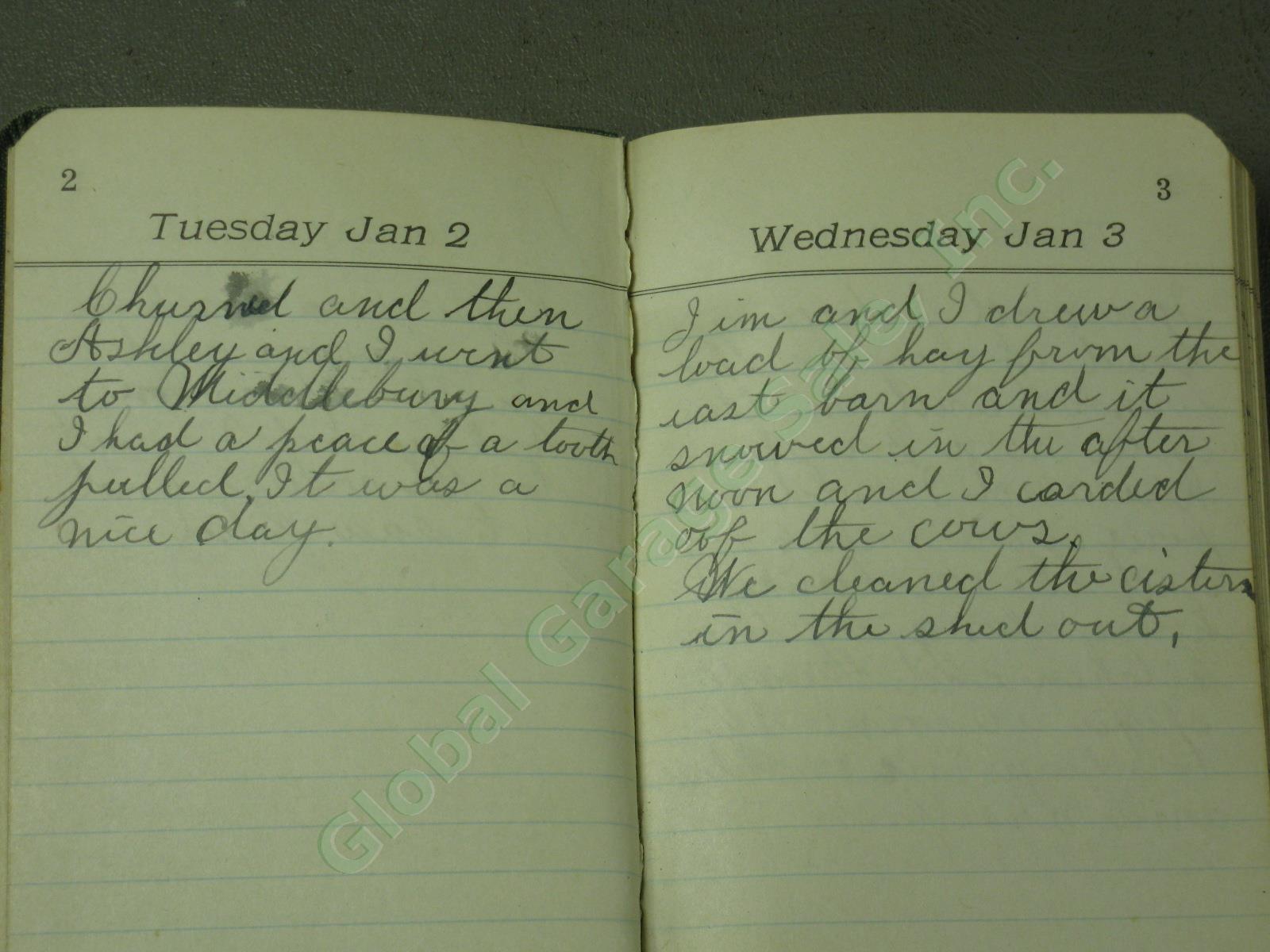 17 Rare Antique 1888-1934 Handwritten Vermont Farm Diary Lot Wanamaker Excelsior 8