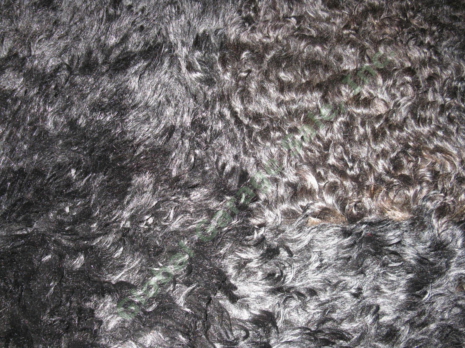 Vtg Antique Buffalo Bison Fur Pelt Hide Buggy Sleigh Carriage Blanket Robe Rug 1