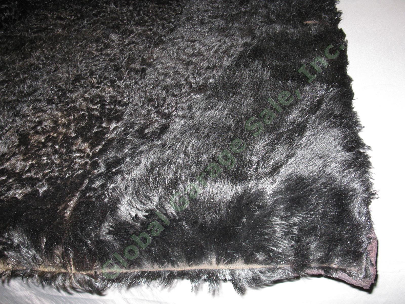 Vtg Antique Buffalo Bison Fur Pelt Hide Buggy Sleigh Carriage Blanket Robe Rug 2