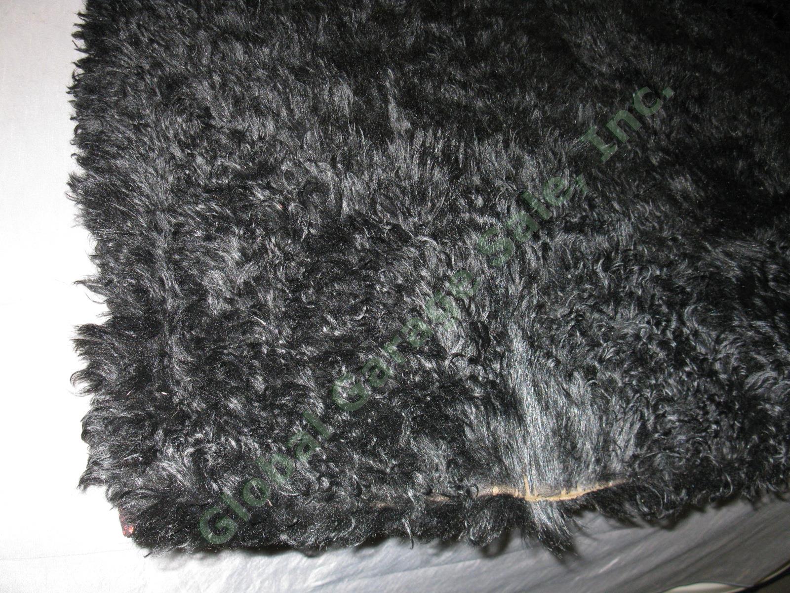 Vtg Antique Buffalo Bison Fur Pelt Hide Buggy Sleigh Carriage Blanket Robe Rug 3