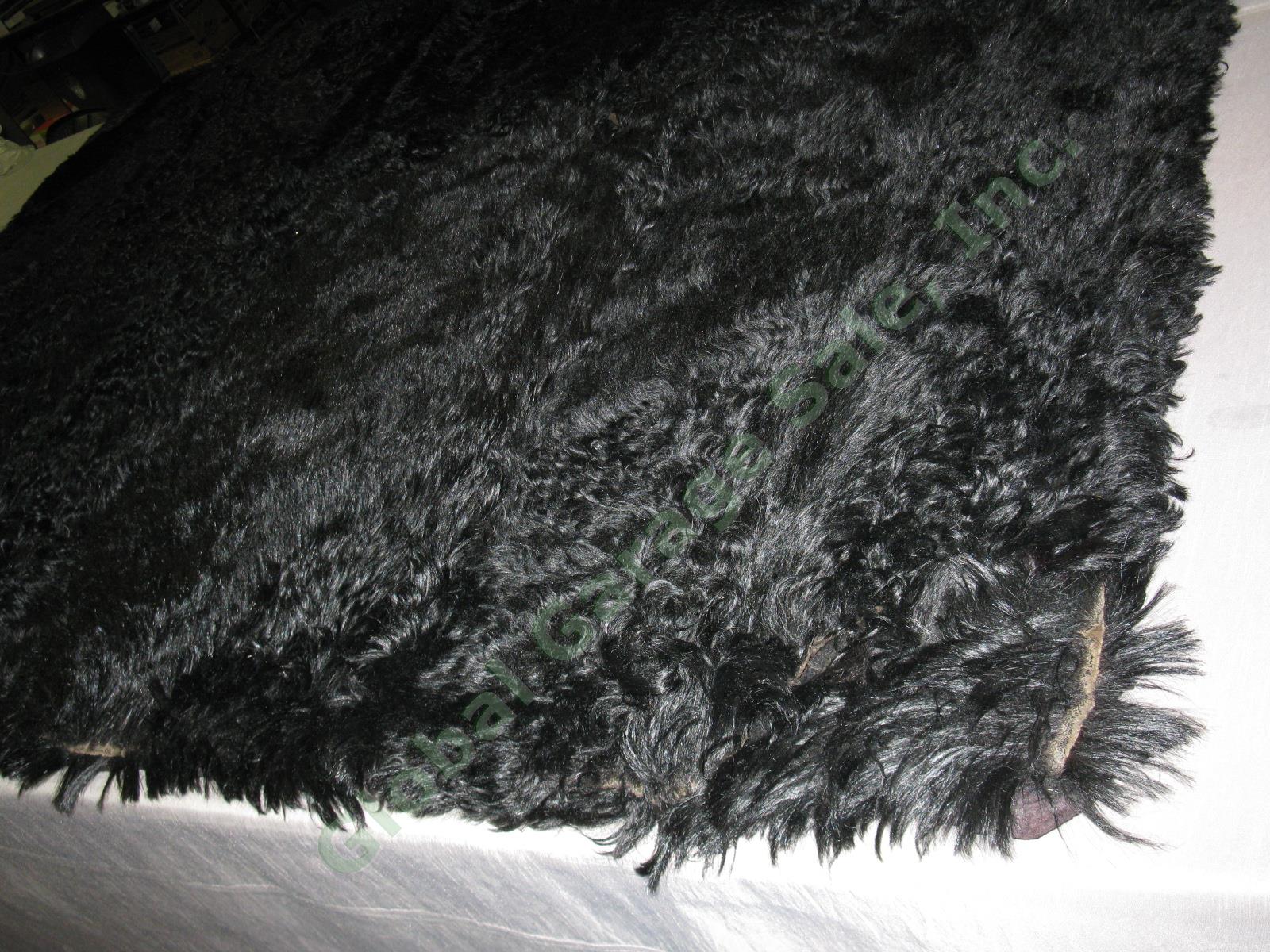 Vtg Antique Buffalo Bison Fur Pelt Hide Buggy Sleigh Carriage Blanket Robe Rug 4