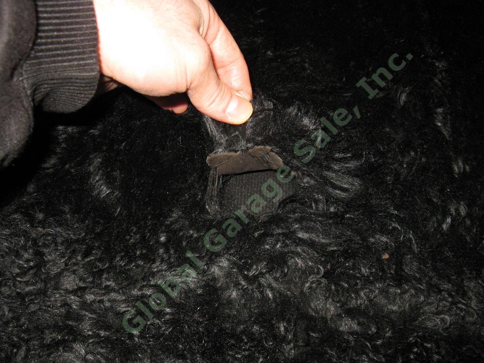 Vtg Antique Buffalo Bison Fur Pelt Hide Buggy Sleigh Carriage Blanket Robe Rug 6