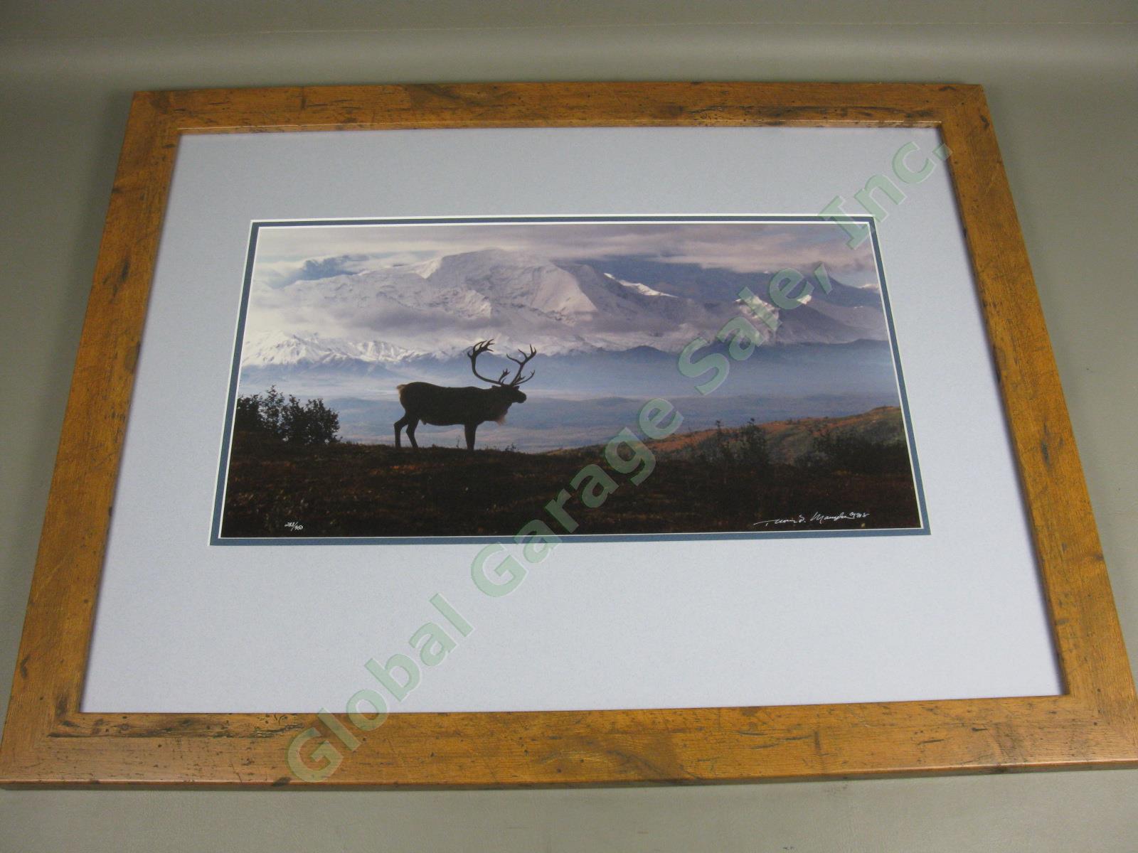 Rare 1988 Thomas Mangelsen Signed Photograph Caribou Country Mt McKinley Alaska