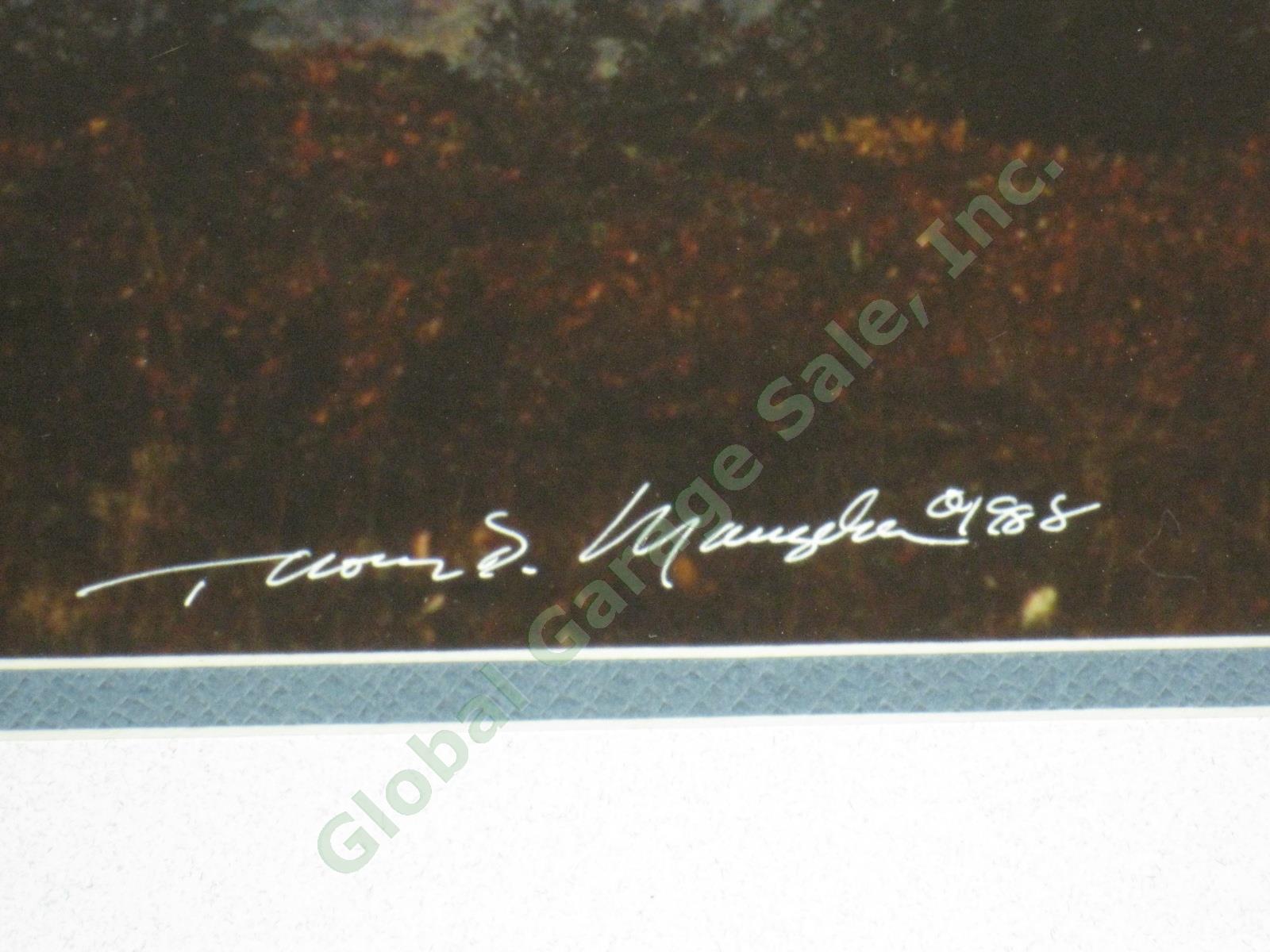 Rare 1988 Thomas Mangelsen Signed Photograph Caribou Country Mt McKinley Alaska 4