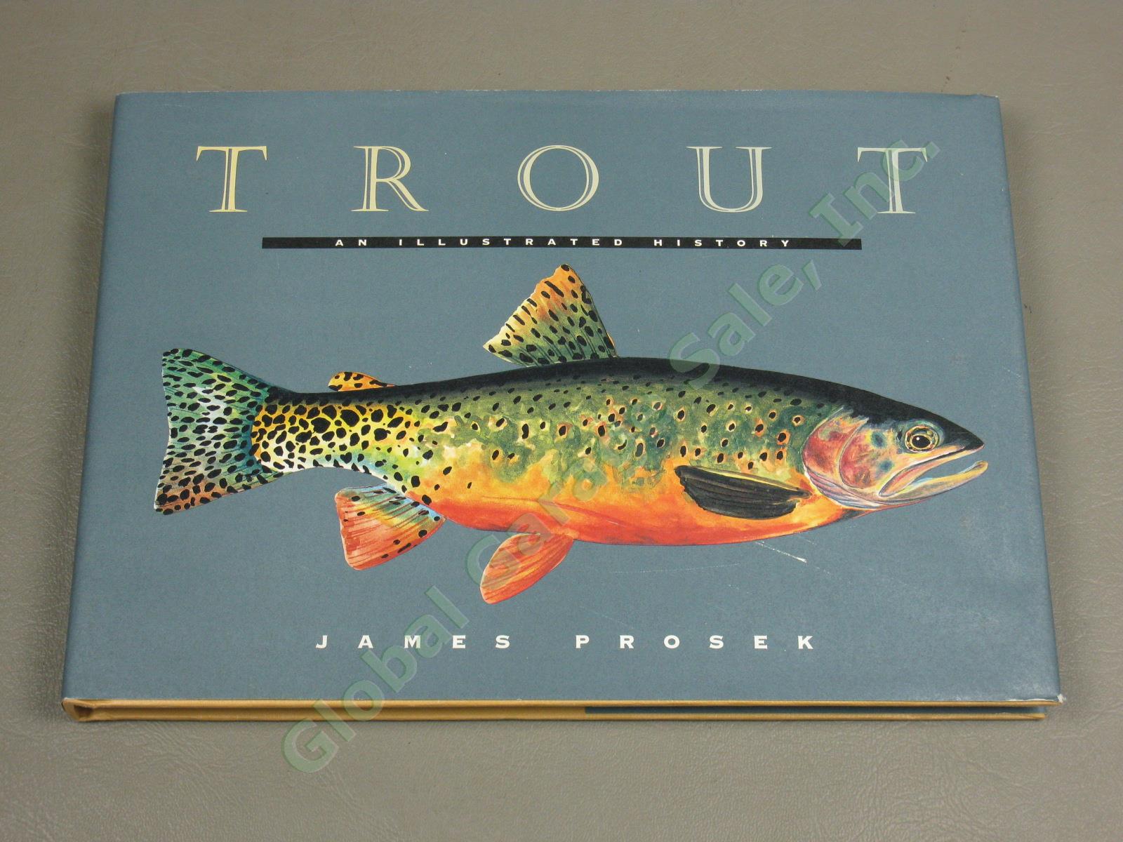 14 Trout Fishing Books Lot Art Of The Fly Reflections Sourcebook Brown Brook +NR 16